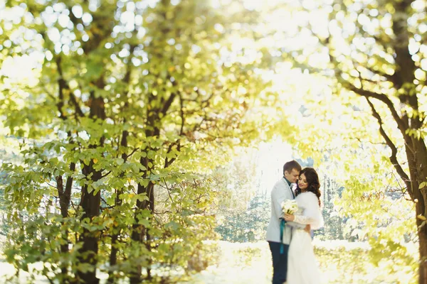 Fiance tenir mariée dans ses bras sur les branches vertes — Photo