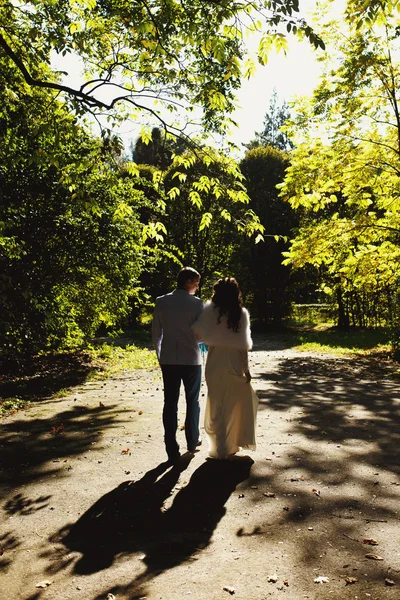 The newly-weds walk around the park  in the evening — Stock fotografie