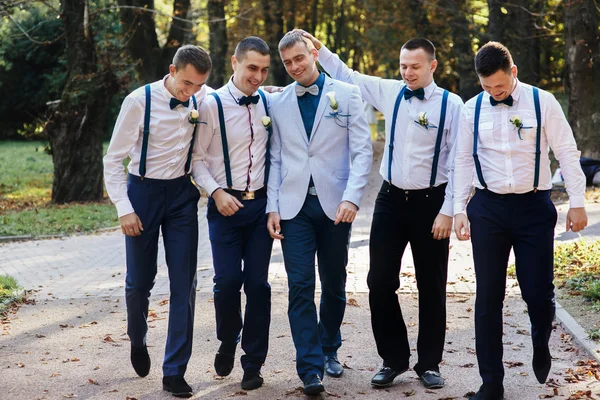 Vőlegénye sétálni a parkban, a bridesmen — Stock Fotó