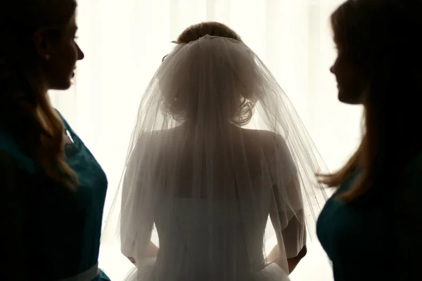 美しい高級花嫁ブライド — ストック写真