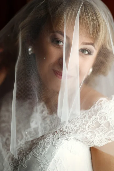 Schöne Luxus Braut Porträt — Stockfoto