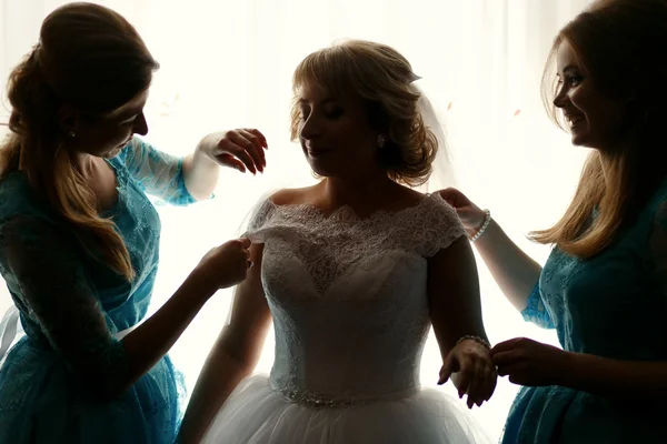 Piękny, luksusowy i Panna Młoda z bridesmaids — Zdjęcie stockowe