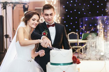 Gelin ve Damat Düğün pastası birlikte kesmek 