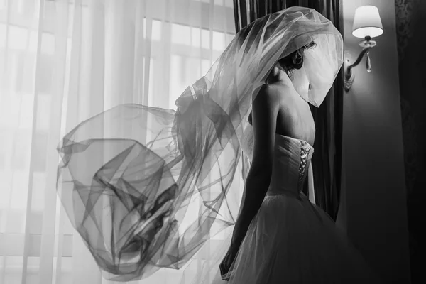 Veil flys over a bride — Stock Photo, Image