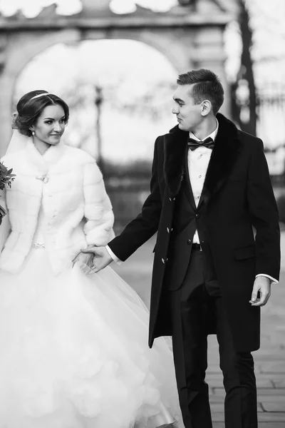 Noivo segura a mão da noiva durante o passeio no parque — Fotografia de Stock