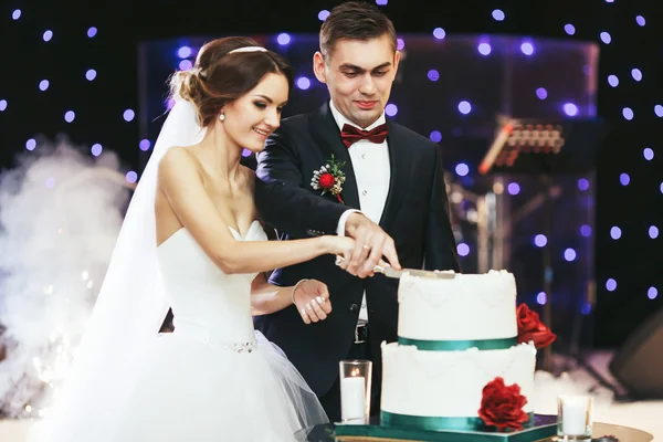 Glückliche Braut und Bräutigam schneiden Hochzeitstorte an — Stockfoto