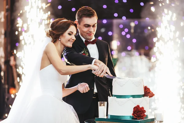 Noiva feliz e noivo cortar o bolo de casamento na frente da fogueira — Fotografia de Stock