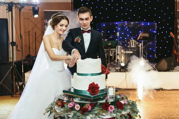 Hübsches Brautpaar schneidet beim ersten Mal die Hochzeitstorte an — Stockfoto