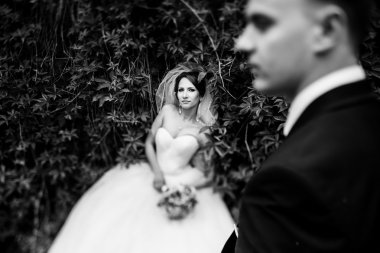 Gelin üzerinde yeşil çit bir nişanlısı yatıyor. 