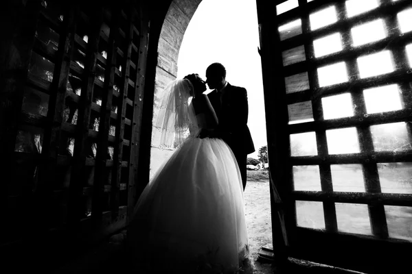 Paret står i gamla metall grindarna — Stockfoto