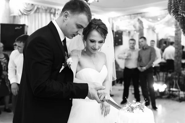 Os recém-casados cortaram seu bolo de casamento na primeira vez — Fotografia de Stock