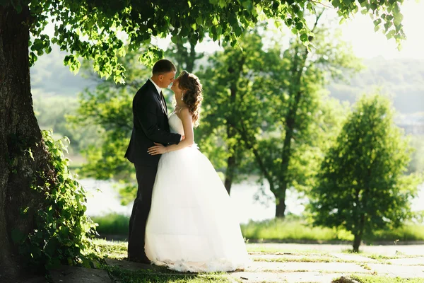 Romantik Çift ayakları altında yeşil ağaç yapraklar — Stok fotoğraf