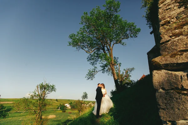 Os recém-casados se beijam enquanto escalam para o castelo — Fotografia de Stock