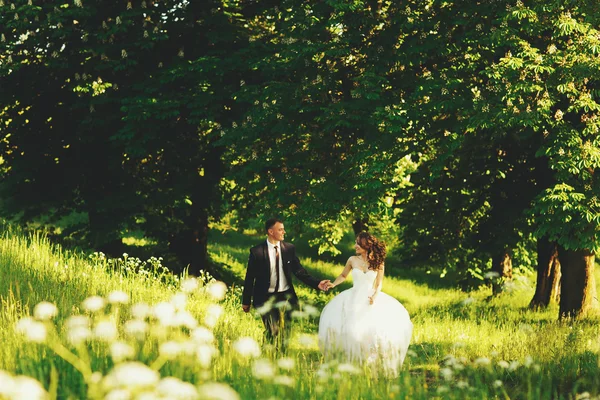 Casal caminha ao redor da floresta segurando as mãos um do outro — Fotografia de Stock