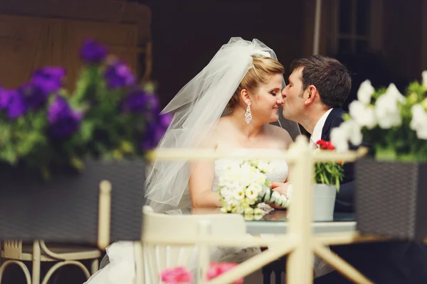 Groom kisses bride's nose — Stock fotografie