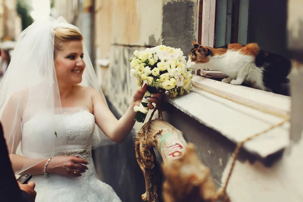 Gelin buketi kedi kokuyor 