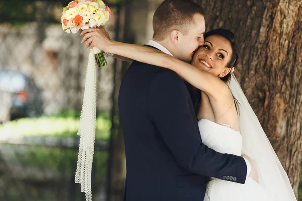 Lo sposo bacia una guancia di sposa — Foto Stock