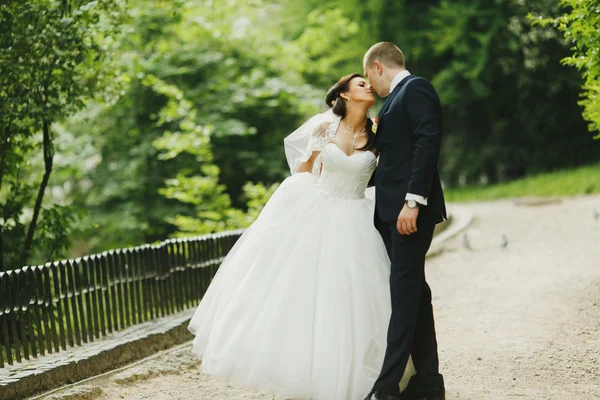 Apenas beijos de casal — Fotografia de Stock