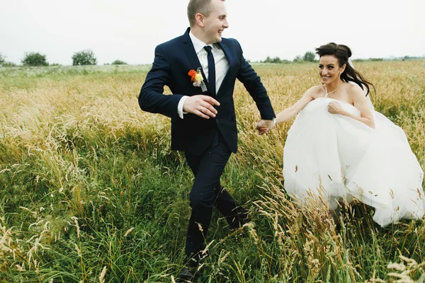 Os recém-casados atravessam o campo — Fotografia de Stock