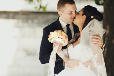 Sadece evli çiftin nazik hugs 