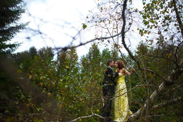 Casal beijos de pé sobre os ramos largos — Fotografia de Stock