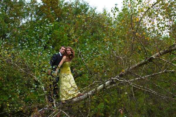 Casal fica cuidadosamente no galho da árvore — Fotografia de Stock