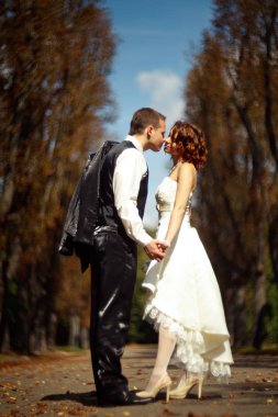 Düğün çifti bir sonbahar park çevresinde yürüyüş