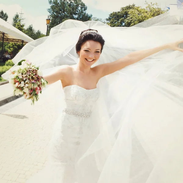 Attraente sposa sorride mentre il vento soffia il suo velo — Foto Stock