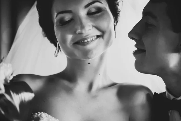 Жених целует нежную щеку мечтающей невесты — стоковое фото