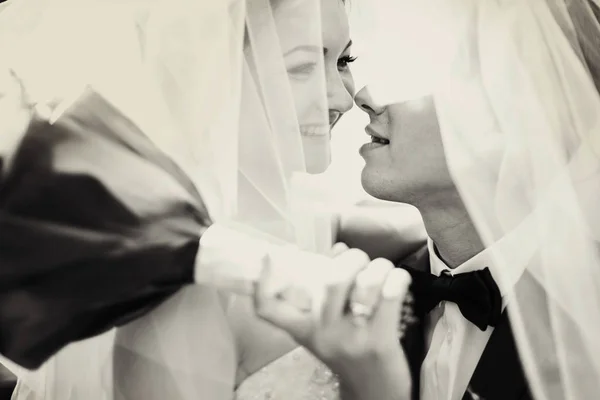 Bride smiles while groom tries to kiss her standing under a veil — Stock Photo, Image