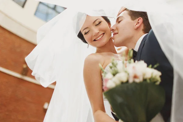 Noivo dobrar noiva sobre beijá-la sob um véu — Fotografia de Stock