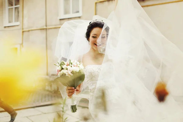 Una foto di una sposa che gioca con il velo e la tiene in braccio — Foto Stock