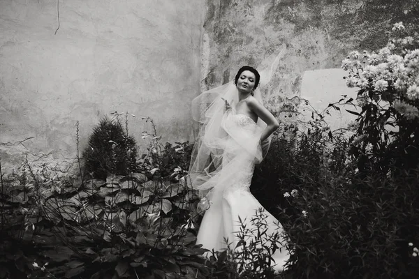 Sposa posa nel vecchio giardino — Foto Stock