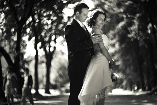 Vőlegény menyasszony váll érinti — Stock Fotó