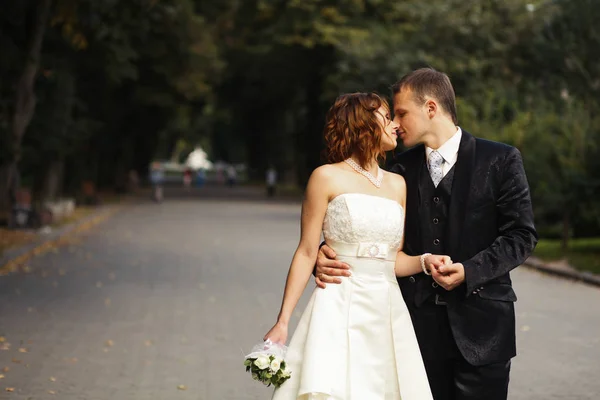 Жених целует невесту, держа ее за талию — стоковое фото
