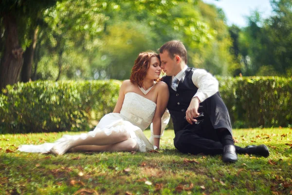 Жених и невеста сидят на траве — стоковое фото
