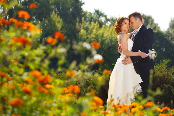 Bride and groom standing Stock Image