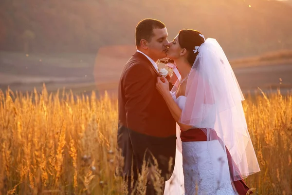 Невеста целует жениха, прислонившегося к нему — стоковое фото