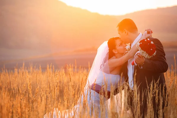 Sposa guarda uno sposo mentre le bacia la fronte delicatel — Foto Stock