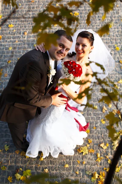 Widok na nowożeńców uśmiechający się wśród gałęzi drzew — Zdjęcie stockowe