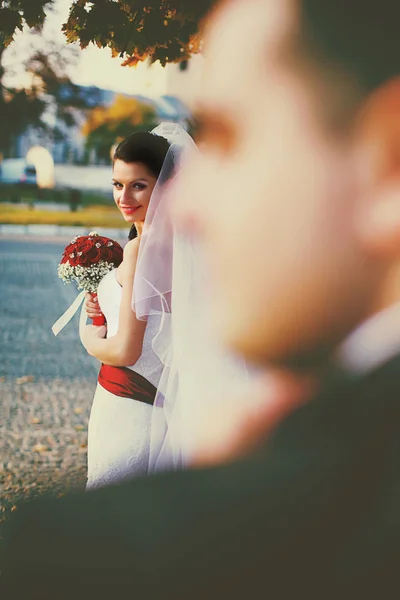 Sposa si trova sullo sfondo guardando con un sorriso al fianc — Foto Stock