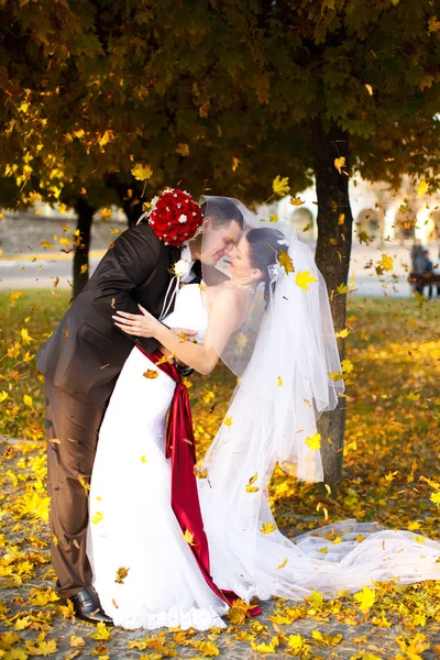 Vőlegény menyasszony hajlik át a bukása arany levelek alatt — Stock Fotó