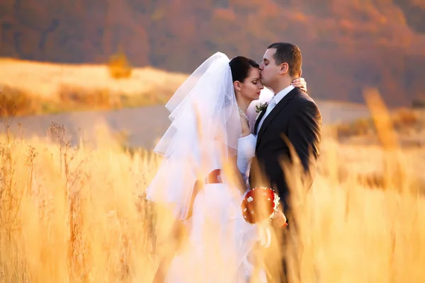 Ein Bild der Zärtlichkeit zwischen Brautpaaren, die auf dem Feld stehen — Stockfoto