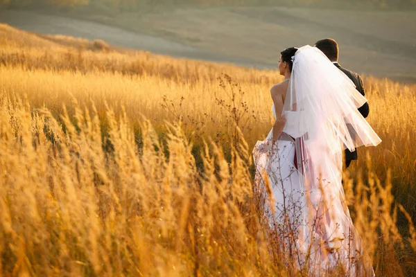 Bride and groom walk forward across the field — Stock Photo, Image