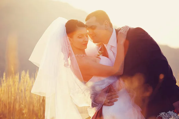 Die Sonnenstrahlen erleuchten ein Hochzeitspaar, das inmitten der — Stockfoto