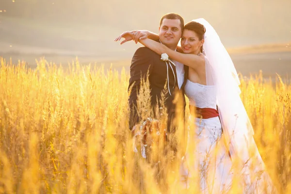 Los recién casados parecen esperanzados posando en el campo — Foto de Stock