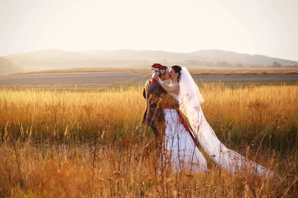 Apenas casado beijo no campo de outono — Fotografia de Stock