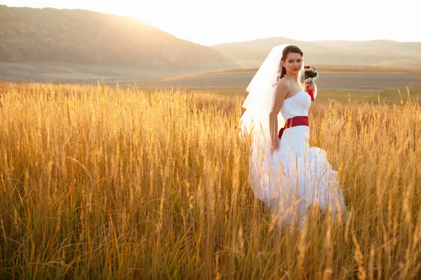 Noiva posa no campo de outono dourado com uma grande montanha lan — Fotografia de Stock