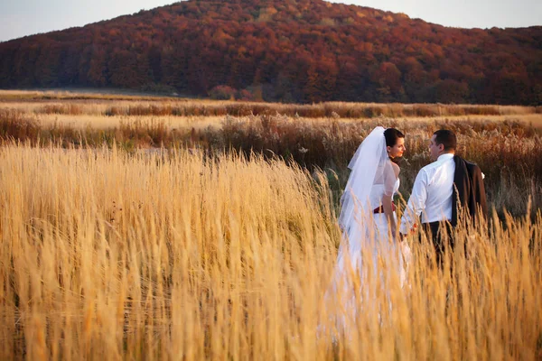 Novia y novio hablar mientras camina acroos el campo de otoño y h — Foto de Stock