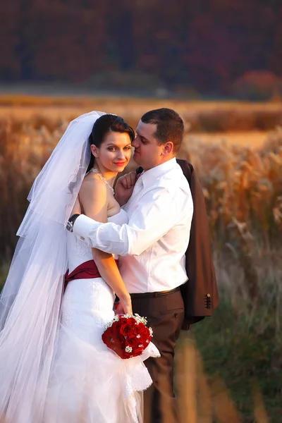 Sposo abbraccia una sposa sorridente tenendo una giacca sopra la spalla — Foto Stock